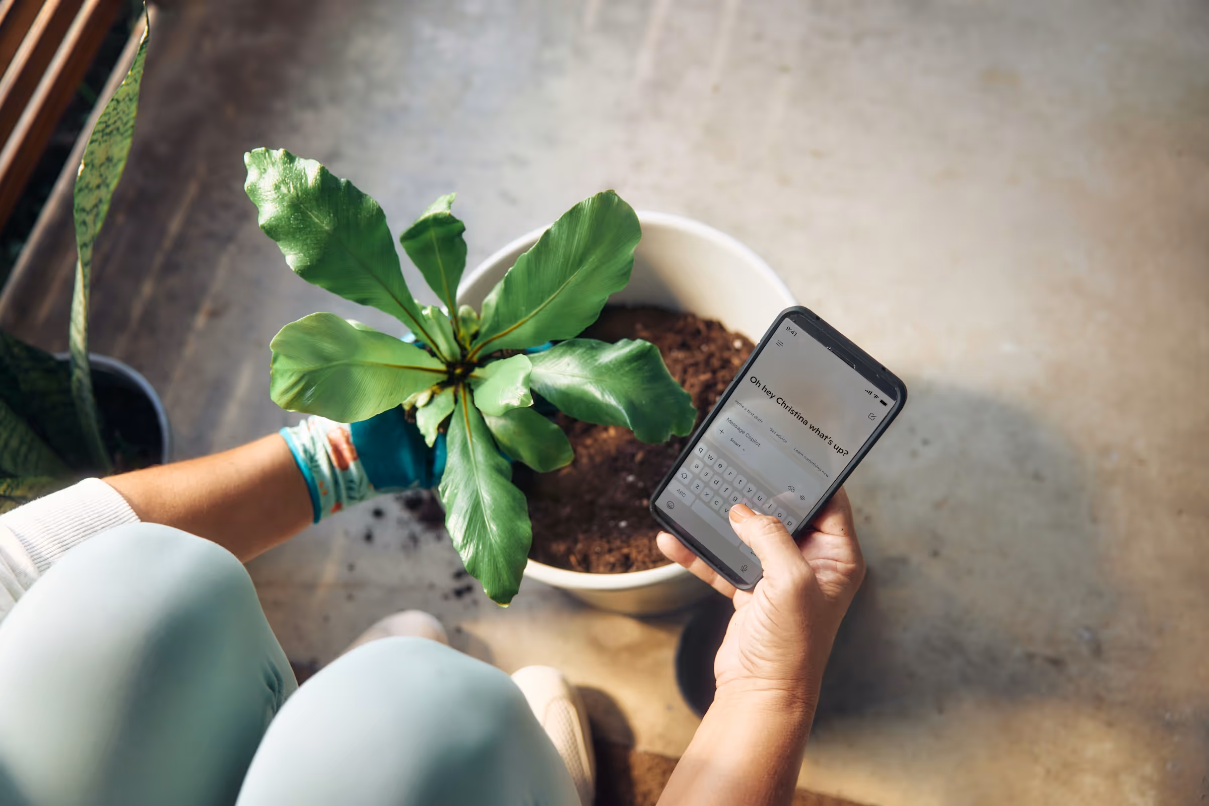 Checking a quick answer on a phone — a confident everyday decision
